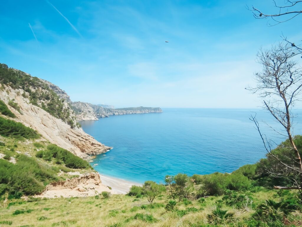 Es Coll Baix, espectacular playa en Alcudia (Mallorca)