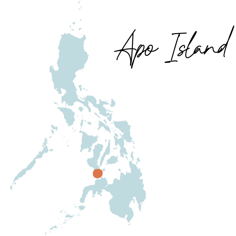 apo-island-filipinas