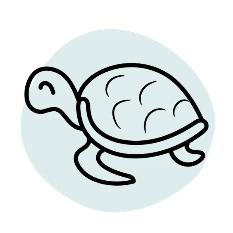 tortuga-justwotravel-blog-viajes-espanol