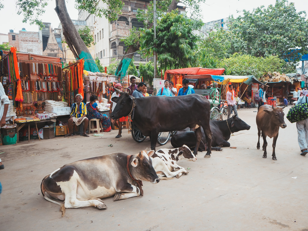 que-ver-y-hacer-en-varanasi-amanecer-en-barca-rio-ganges-justwotravel-blog-viajes-espanol