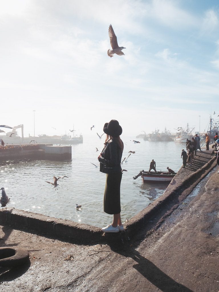 que-ver-en-essaouira-puerto-pájaros-marruecos