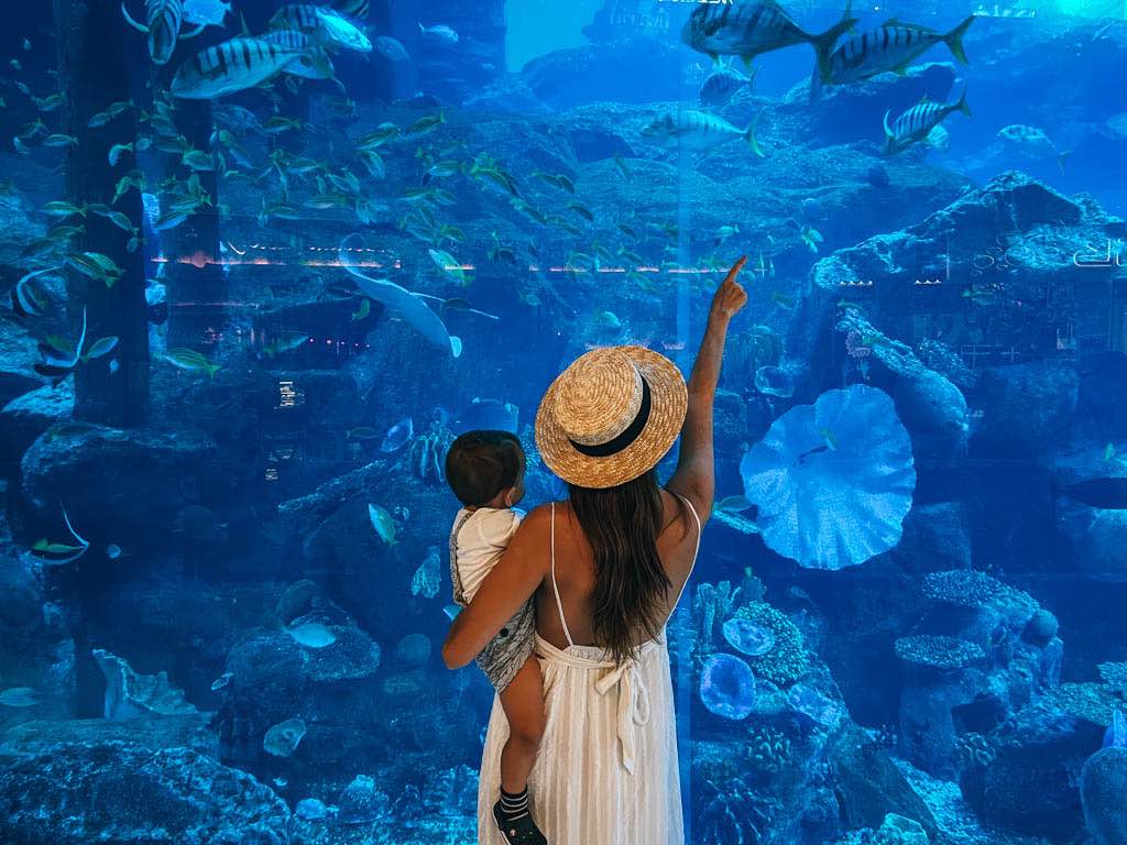 dubai-con-ninos-aquarium-dubai-mall