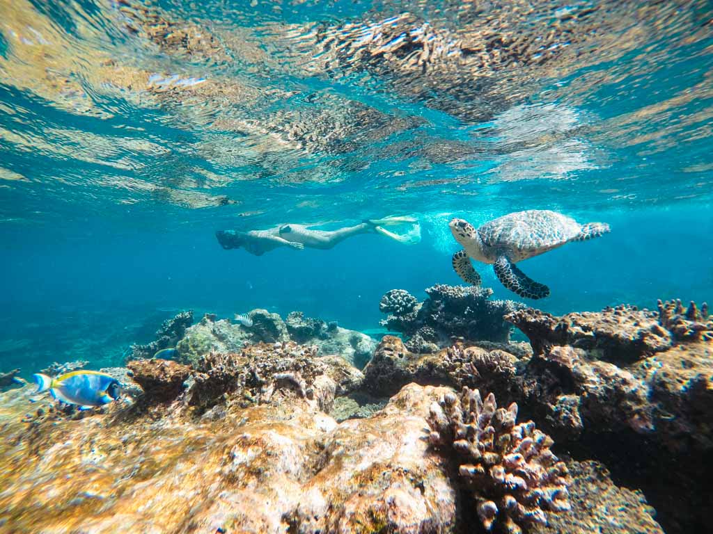 maldivas-por-libre-snorkel-maafushi