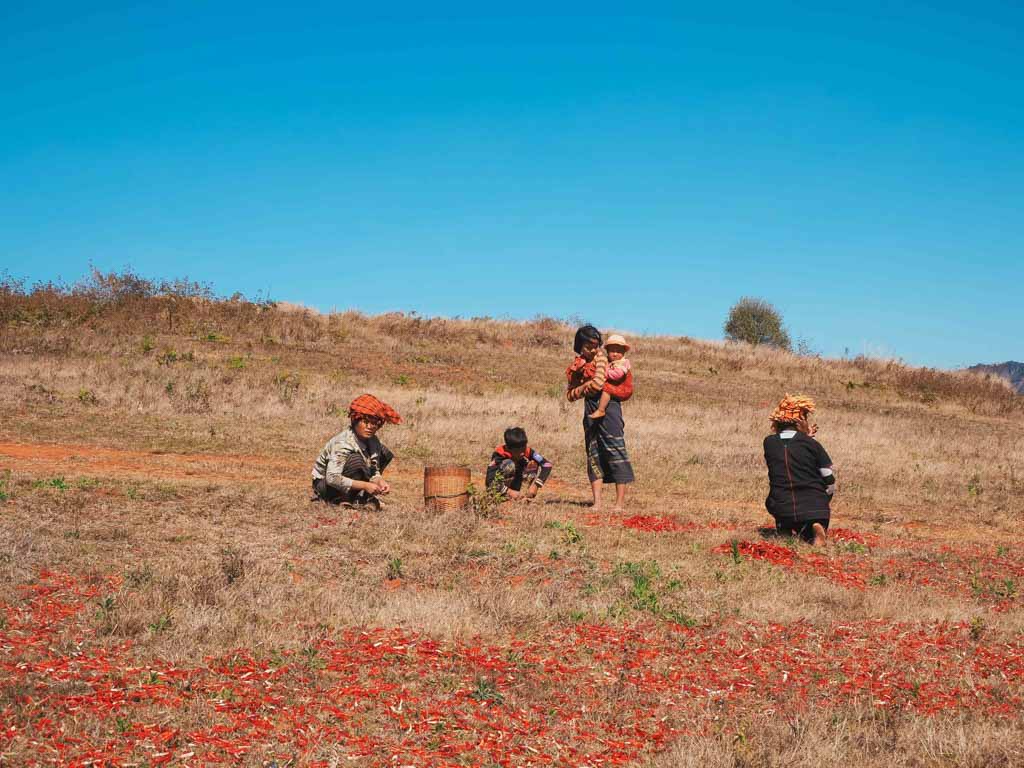 myanmar-por-libre-kalaw-justwotravel